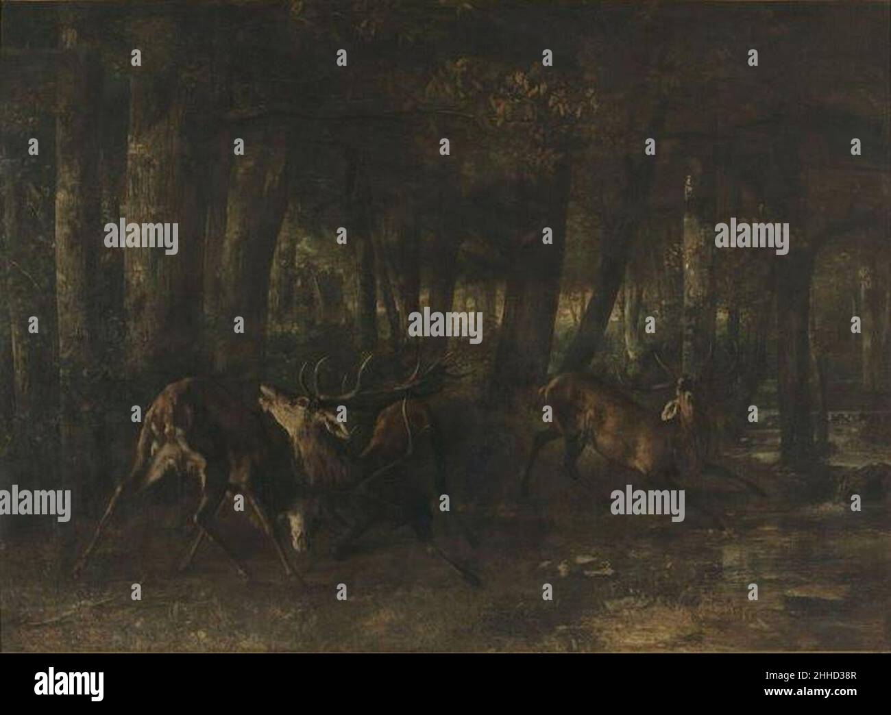 Spring Rut The Battle of the Stags 1861 Gustave Courbet Stock Photo - Alamy