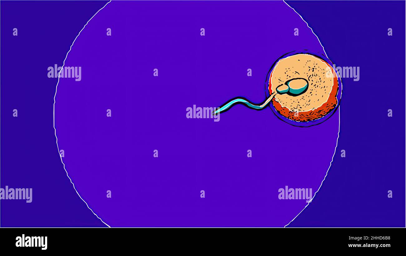3d illustration in comic style - sperm and fertile human egg. Insemination concept. Stock Photo