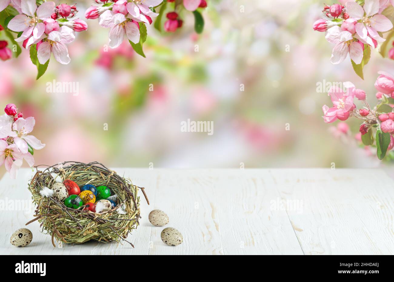 Colorful quail Easter eggs in nest on white wooden table on blurred floral bakground. Copy space Stock Photo