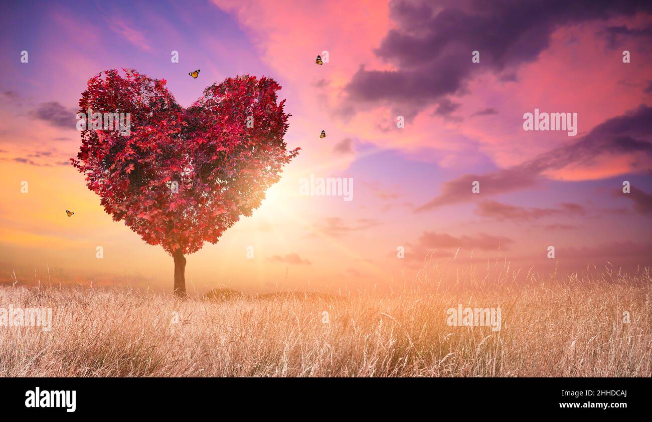 Heart Tree | Heart background, Heart wallpaper, Heart tree