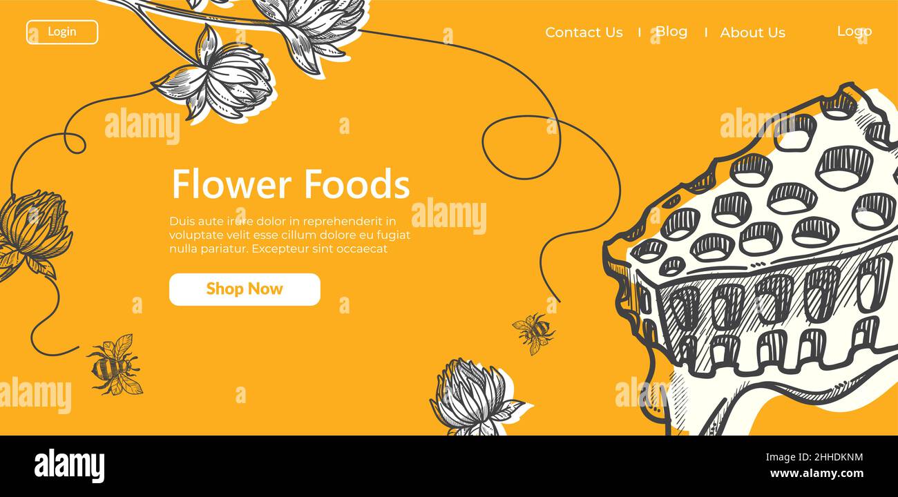 Flower foods, honey and organic production website Stock Vector Image