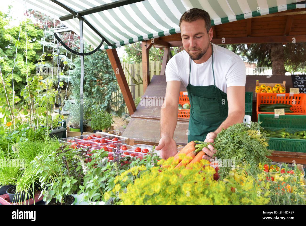 farmer sells fruit and vegetables from his own cultivation fresh from