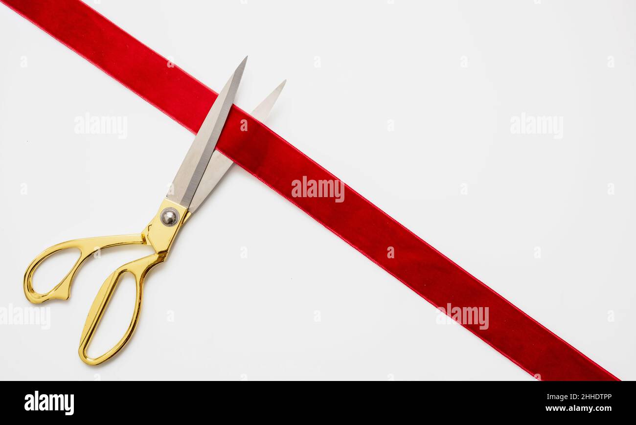 Grand opening, ribbon cut, Gold scissors cutting red velvet ribbon isolated on white background. Inaugural invitation, business launch concept, copy s Stock Photo