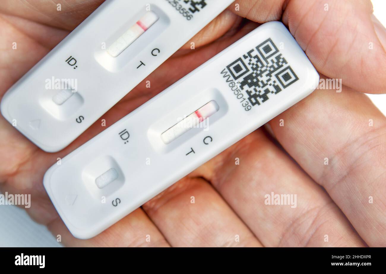 Covid Rapid Tests in hand, with "negative" result Stock Photo