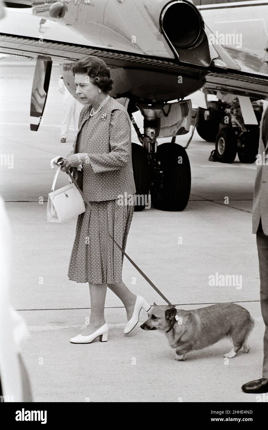 Queen at Heathrow Airport August 1982 with Corgis Stock Photo - Alamy