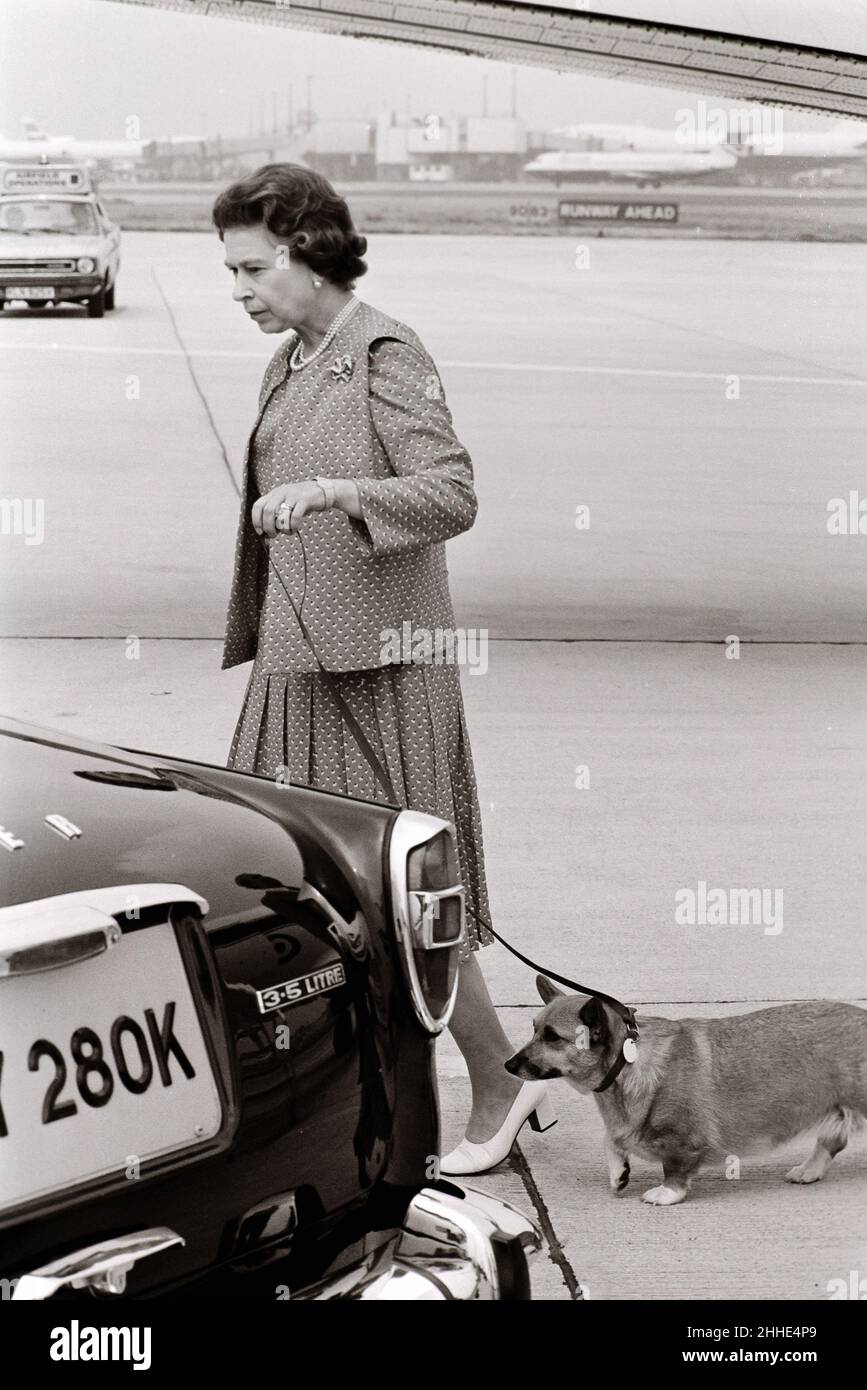 Queen at Heathrow Airport August 1982 with Corgis Stock Photo - Alamy