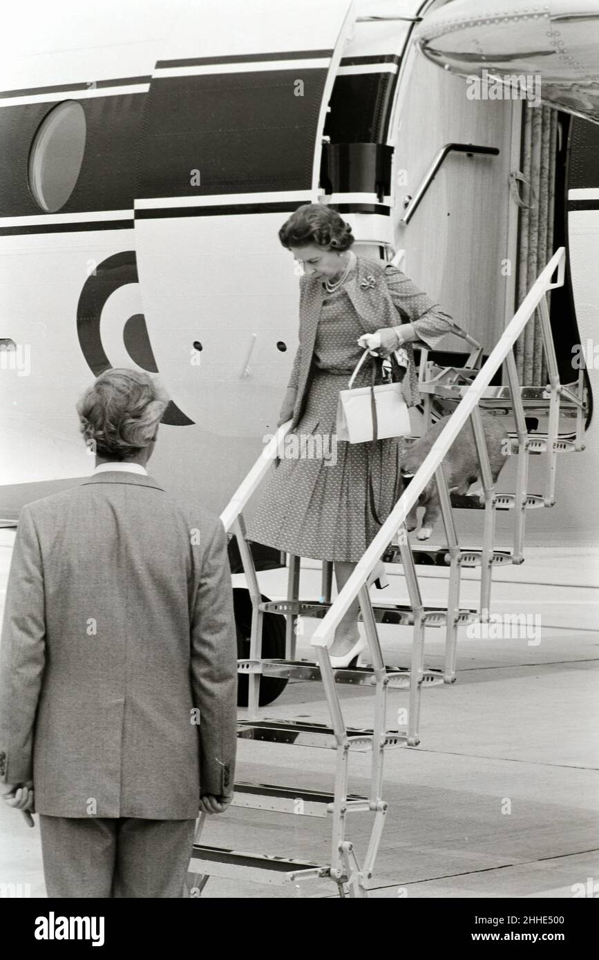 Queen at Heathrow Airport August 1982 with Corgis Stock Photo - Alamy