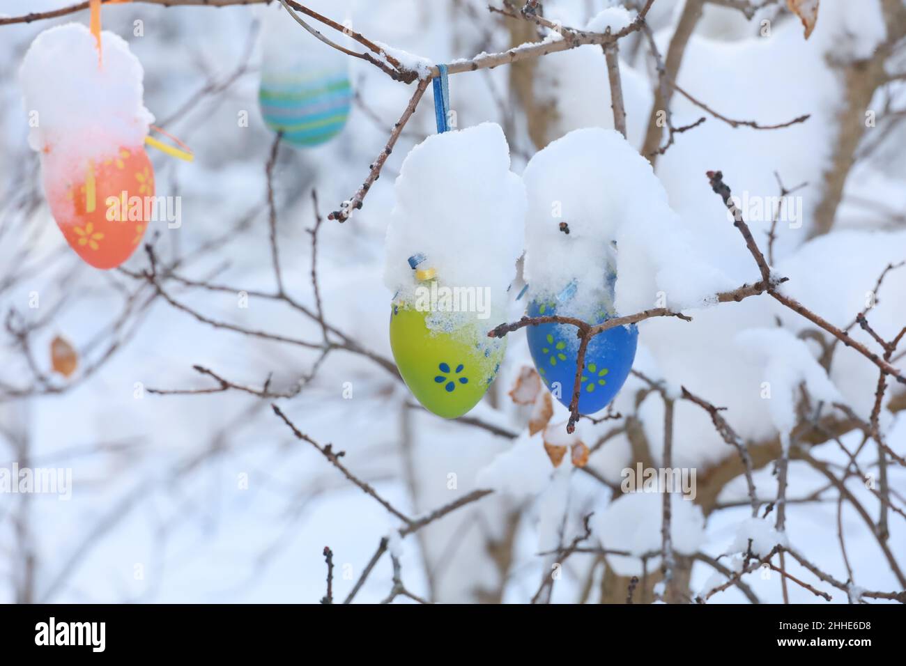 beautiful easter eggs on a tree branch outdoors Stock Photo