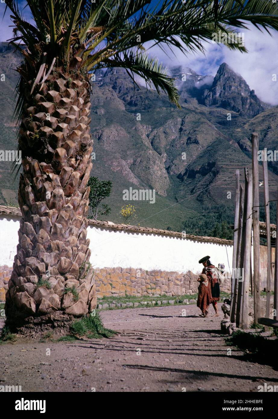 Woman carrying toddler and walking with child past palm tree, Calca, Cusco region, Peru, South America, 1962 Stock Photo