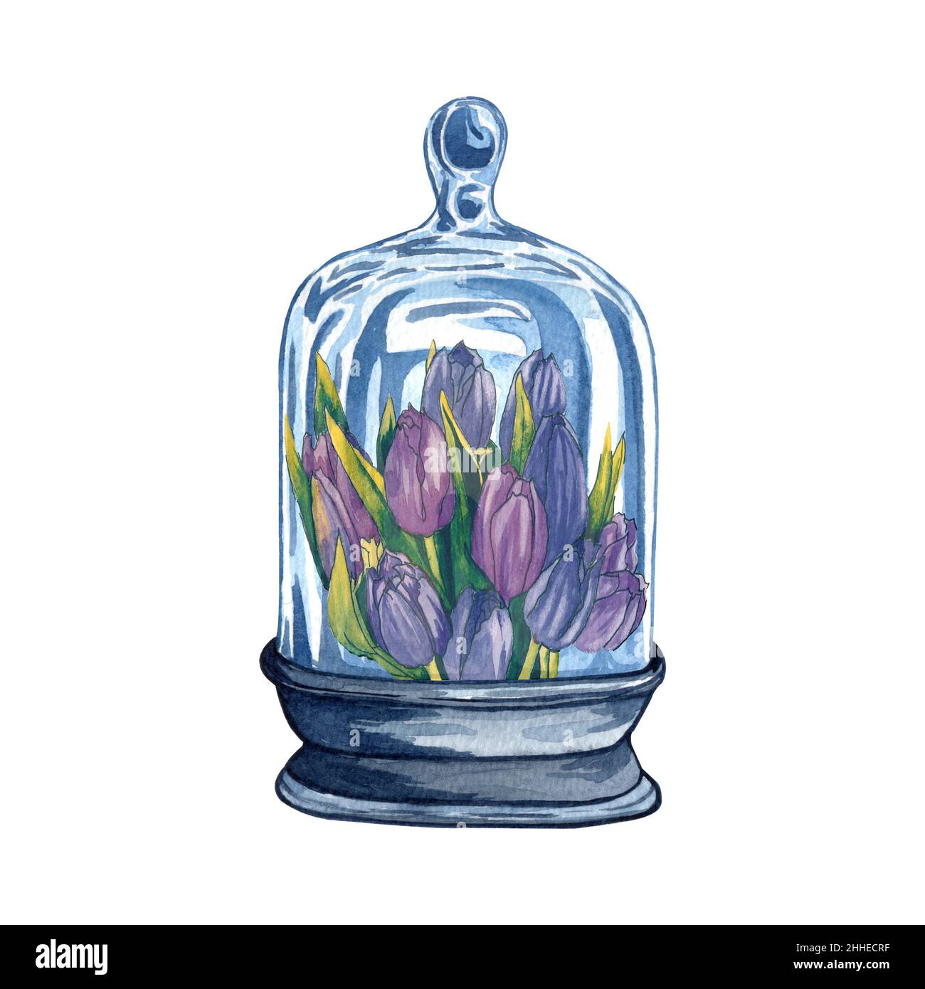 Collection of florariums, watercolor glass bottles with flowers inside ...