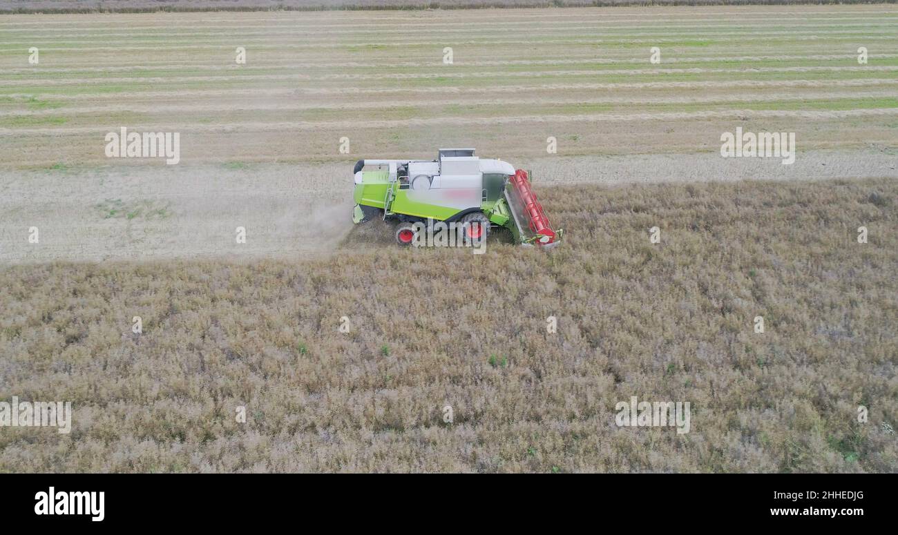 Harvisting Field Agriculture Harvester Harvesting Field Aerial View Stock Photo - Alamy