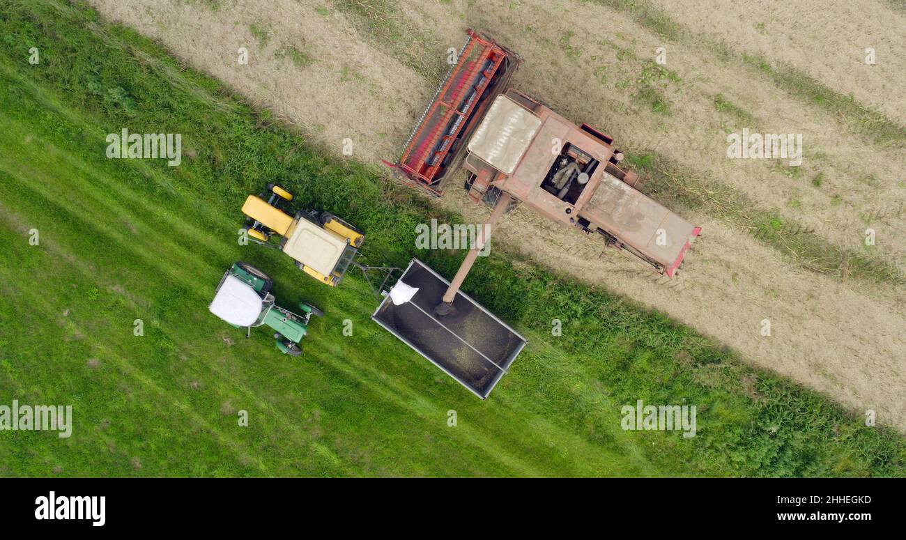 Harvisting Field Agriculture Harvester Harvesting Field Aerial View Stock Photo - Alamy