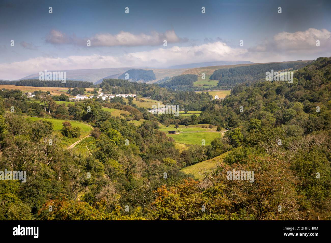 UK, Wales, Merthyr Tydfil, Pant, Brecon Mountain Railway, view from moving train window towards Pontsticill Stock Photo