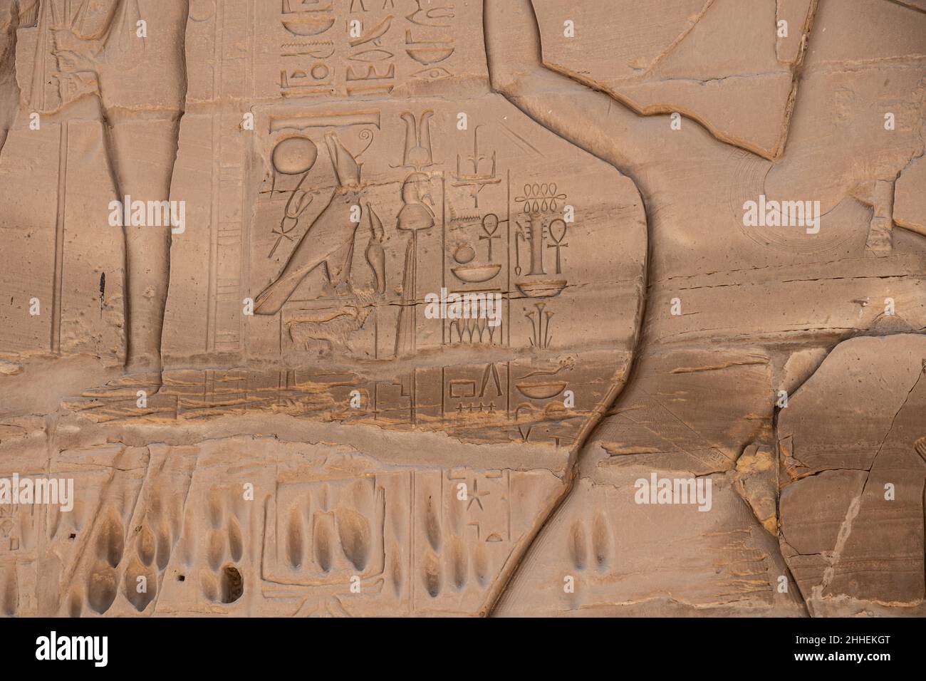Ancient egyptian hieroglyphs carved on the stone wall in the Karnak ...