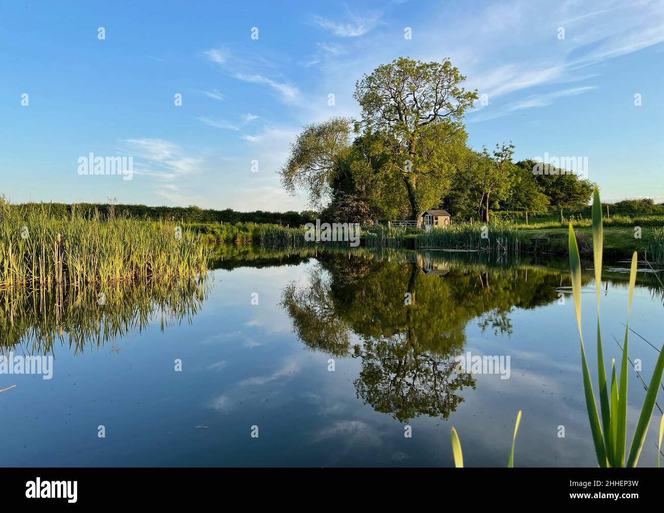 Pond boat house hi-res stock photography and images - Alamy