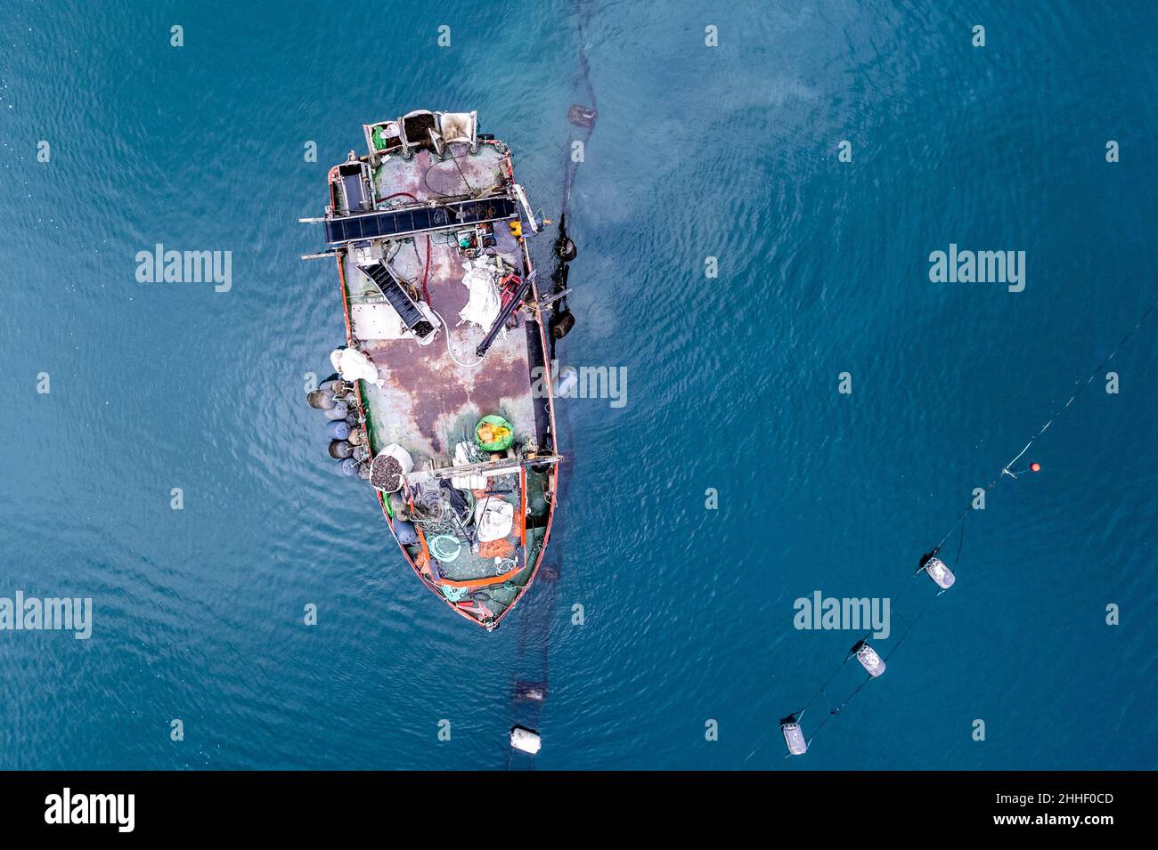 Bantry, West Cork, Ireland. 24th Jan, 2021. Bantry based commercial fishing boat 'Muirean' fishes for mussels on mussel farms in Bantry Bay this morning. The mussels caught are exported to countries in Europe, including France and Spain. Credit: AG News/Alamy Live News Stock Photo
