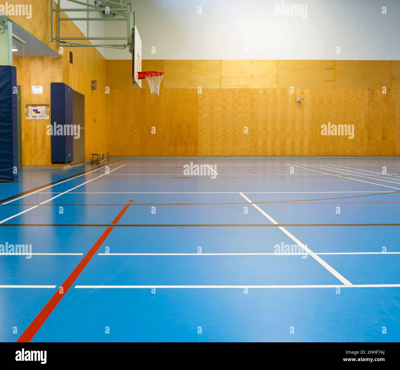 Gymnasium and basketball court, large empty gym Stock Photo - Alamy