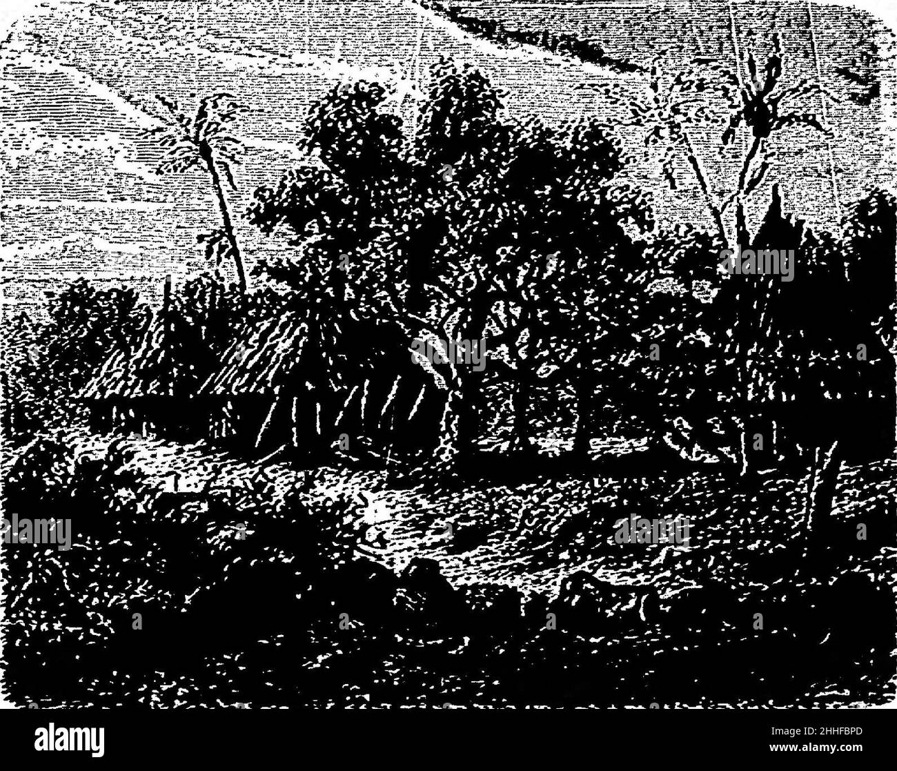 Stanley Comment j'ai retrouvé Livingstone, trad Loreau, 1884 (page