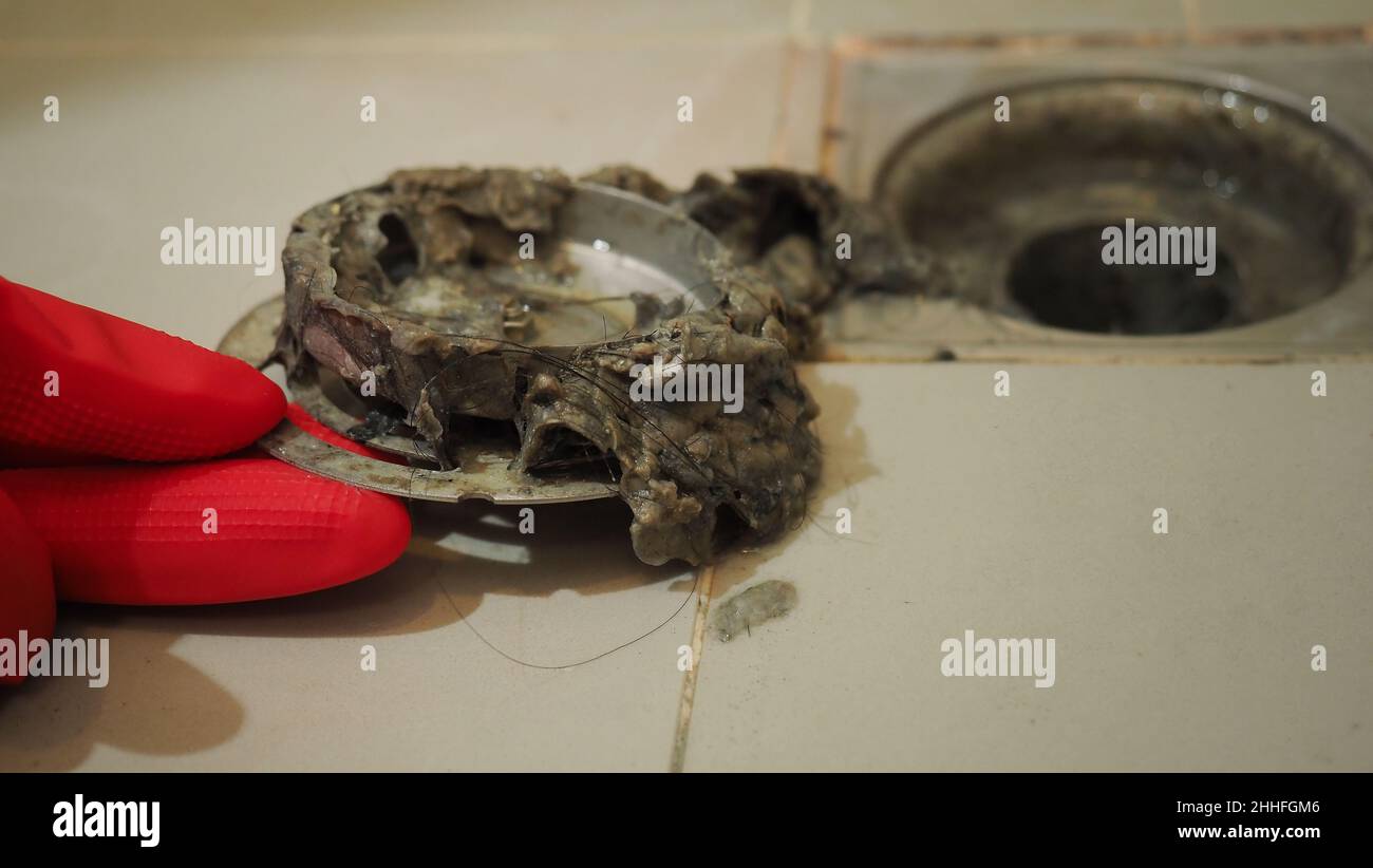 Drain cleaning. Clogged and dirty sewer pipes floor drain. Full of hair