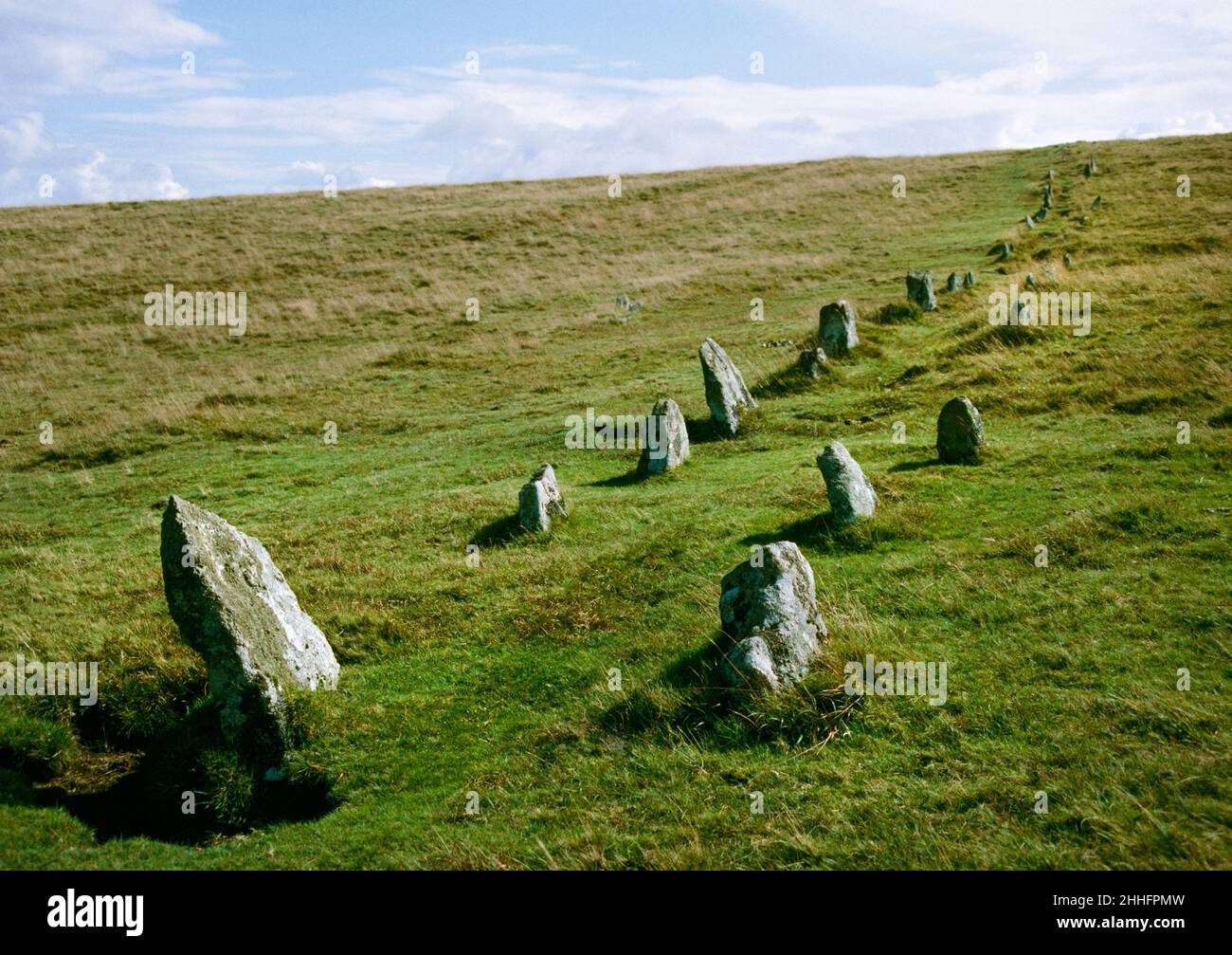 Shovel Down Prehistoric Stone Row 4. Looking south uphill at the double row dissapearing over crest of hill. Dartmoor, Devon Stock Photo