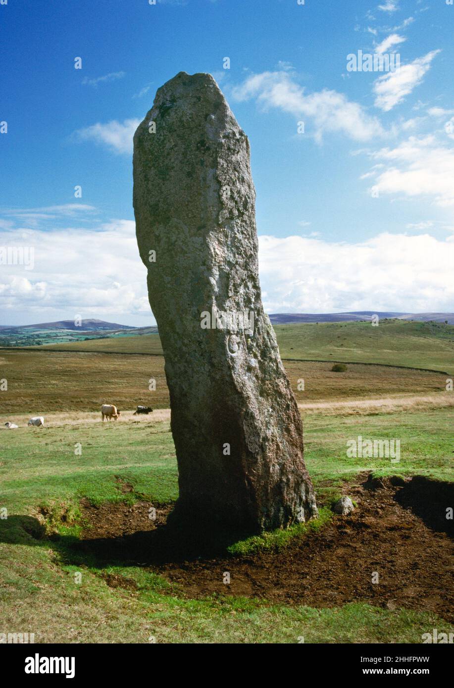The Long Stone (The Longstone), Dartmoor.  Prehistoric standing stone reused as modern land boundary marker, looking SE Stock Photo