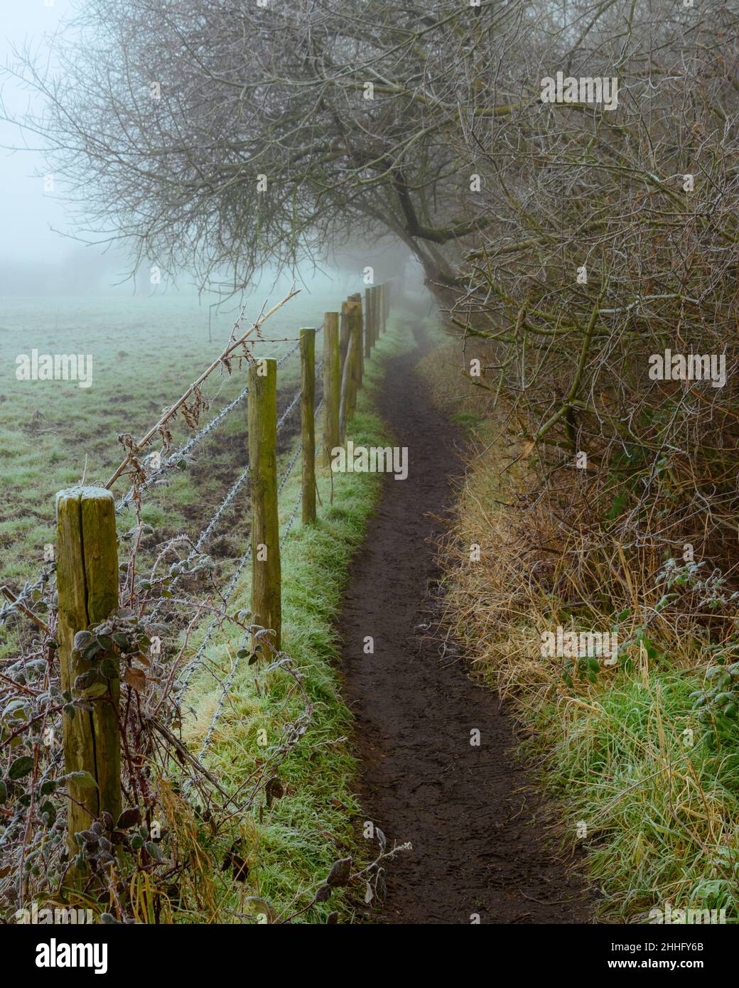 Countryside footpath in frost and mist with fence on the left and overhanging trees on the right, diminishing into the distance, Hampshire, UK Stock Photo