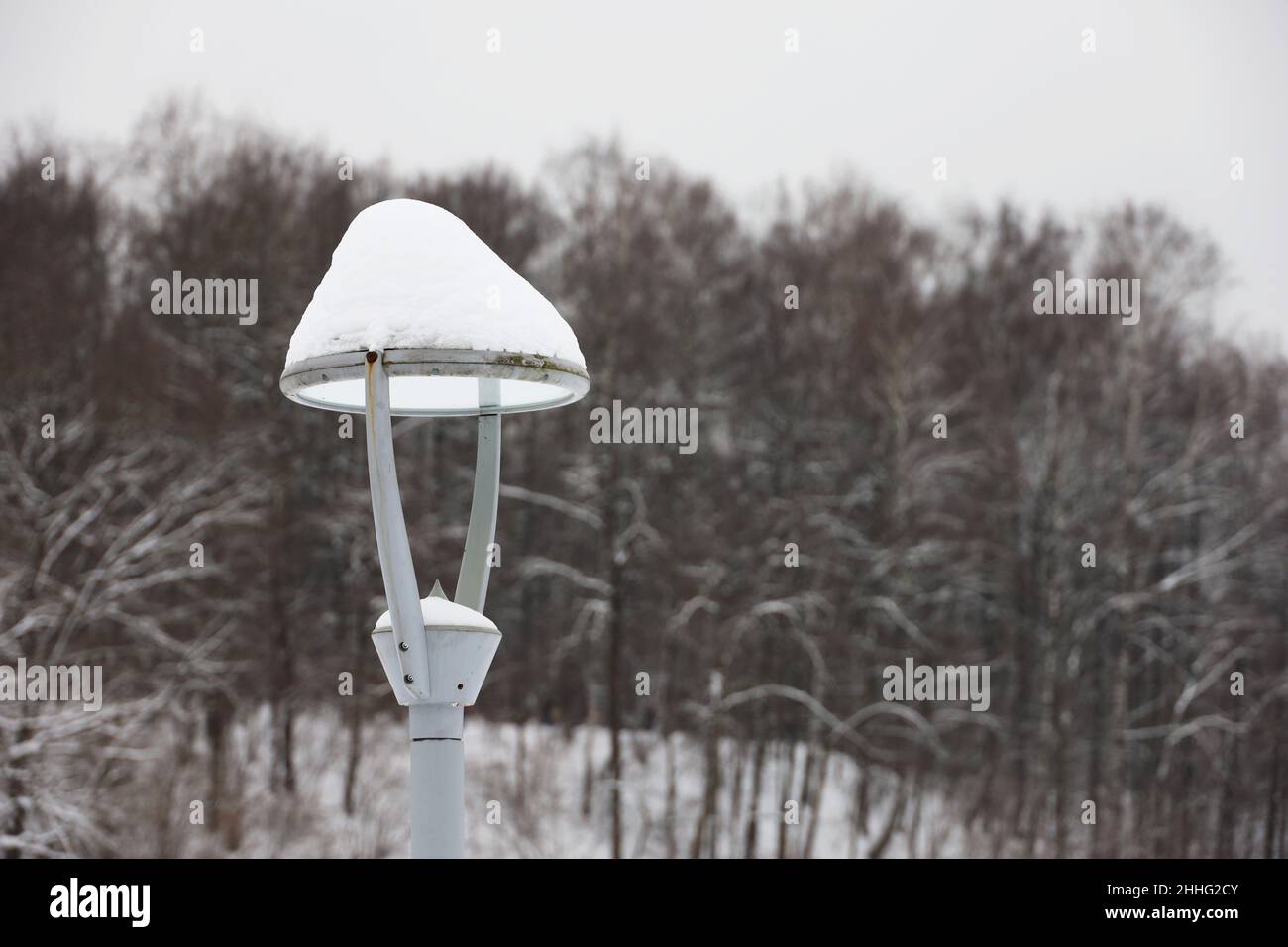 Led lamp covered with snow on winter trees background. Electric lighting in park, energy-saving street lantern Stock Photo