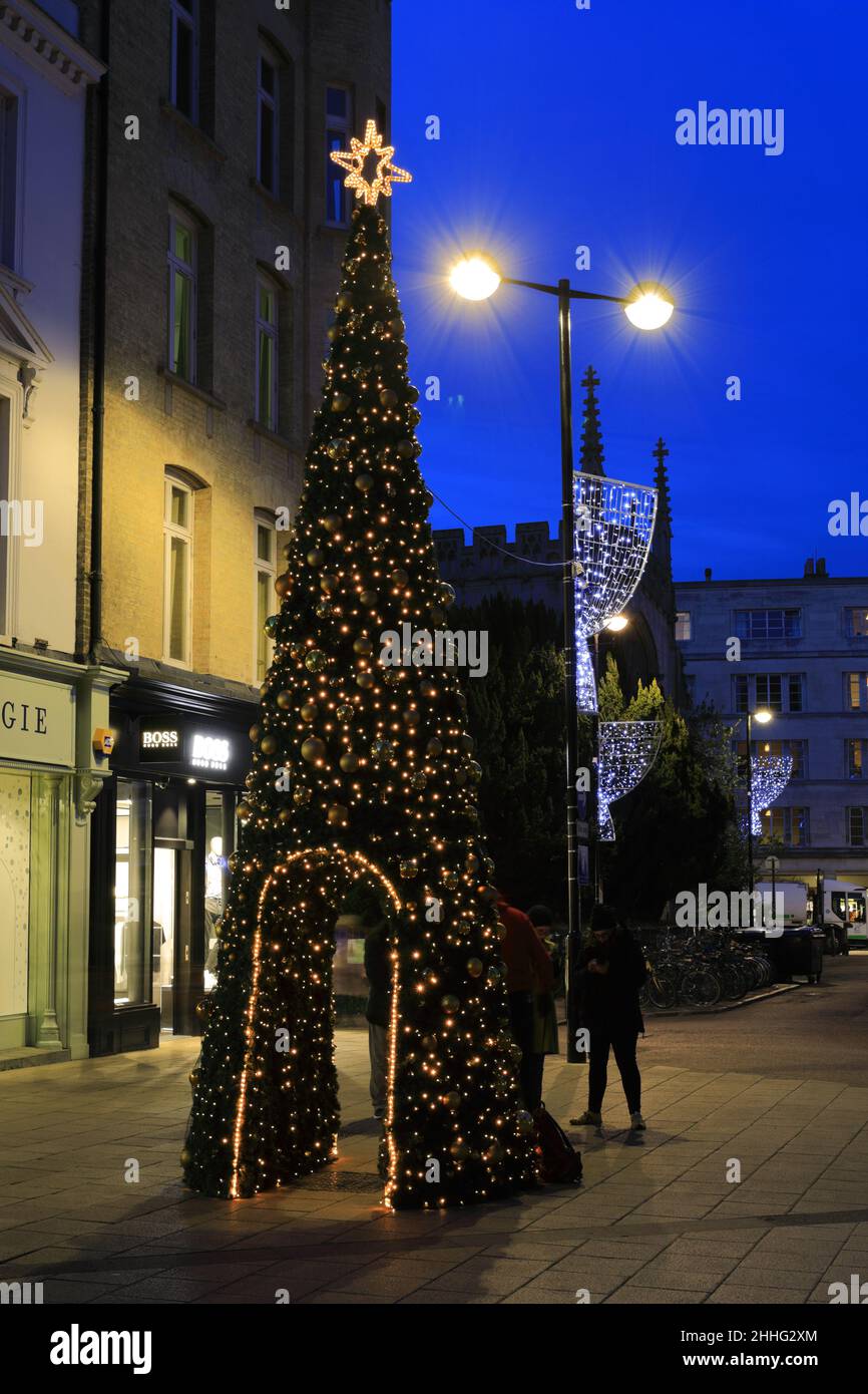 The Christmas tree in Market Hill, Cambridge City, Cambridgeshire