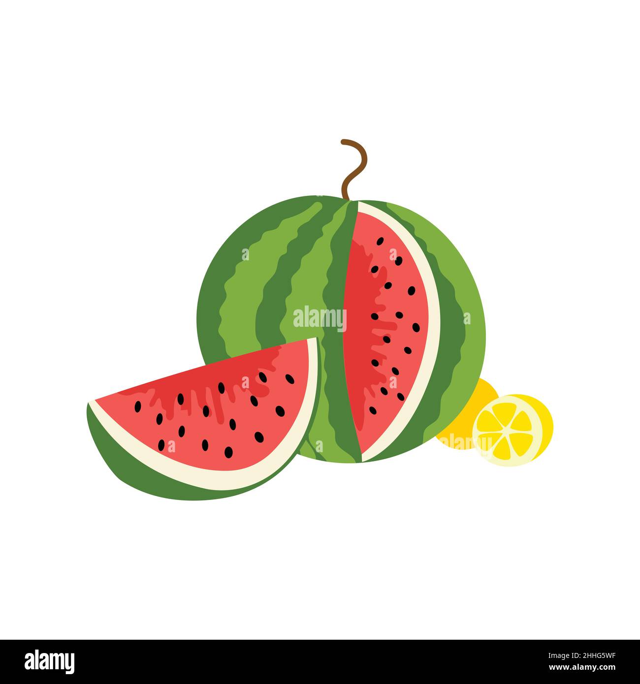 flat vector illustration of watermelon and slices on a white background ...