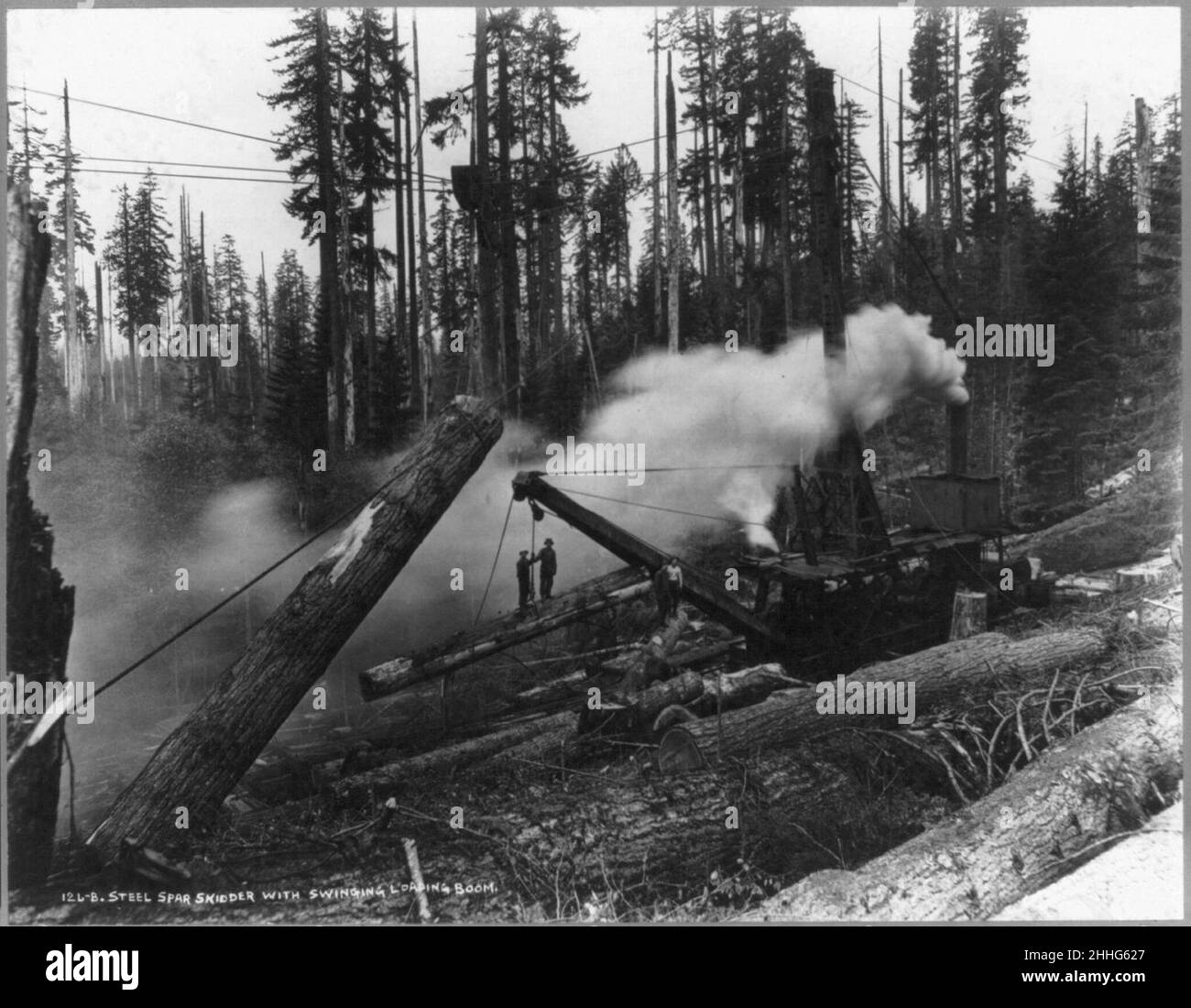 Steel spar skidder with swinging loading broom Stock Photo Alamy