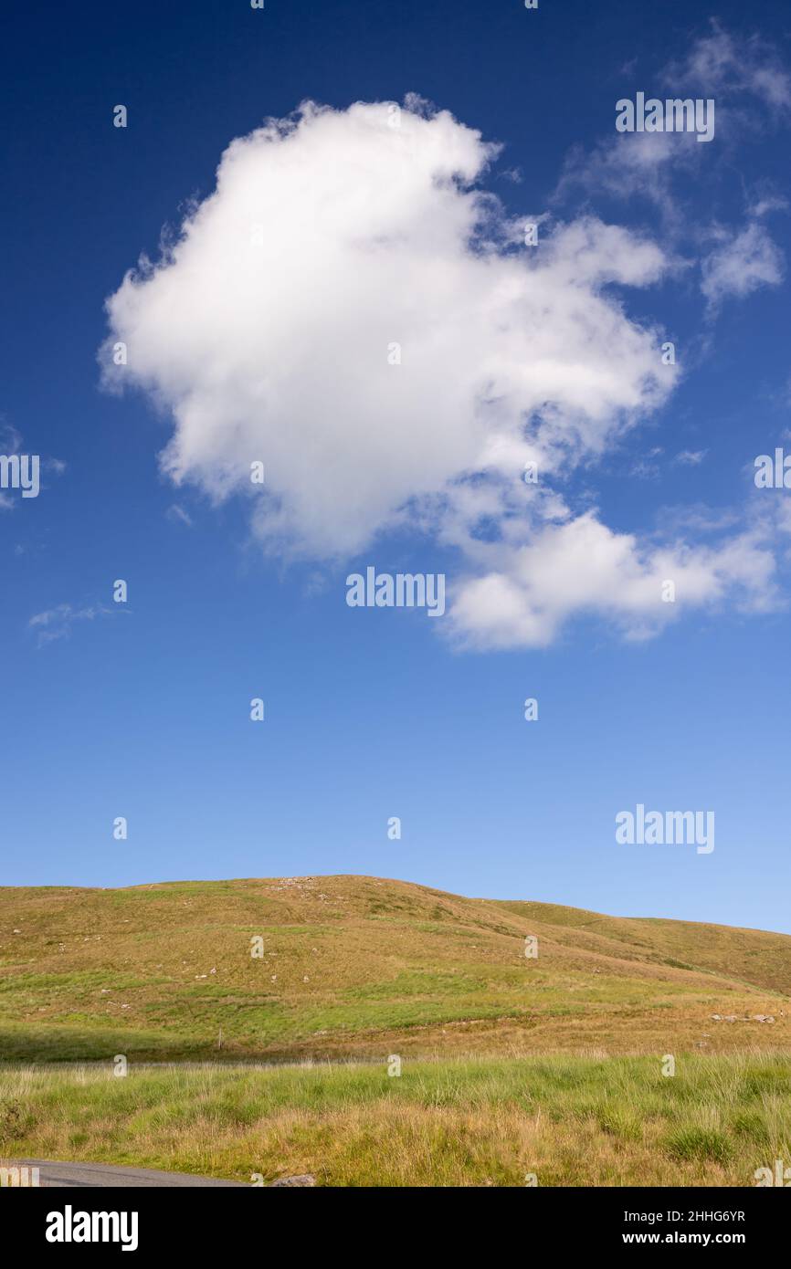 Summer cumulus cloud over a grass meadow Stock Photo