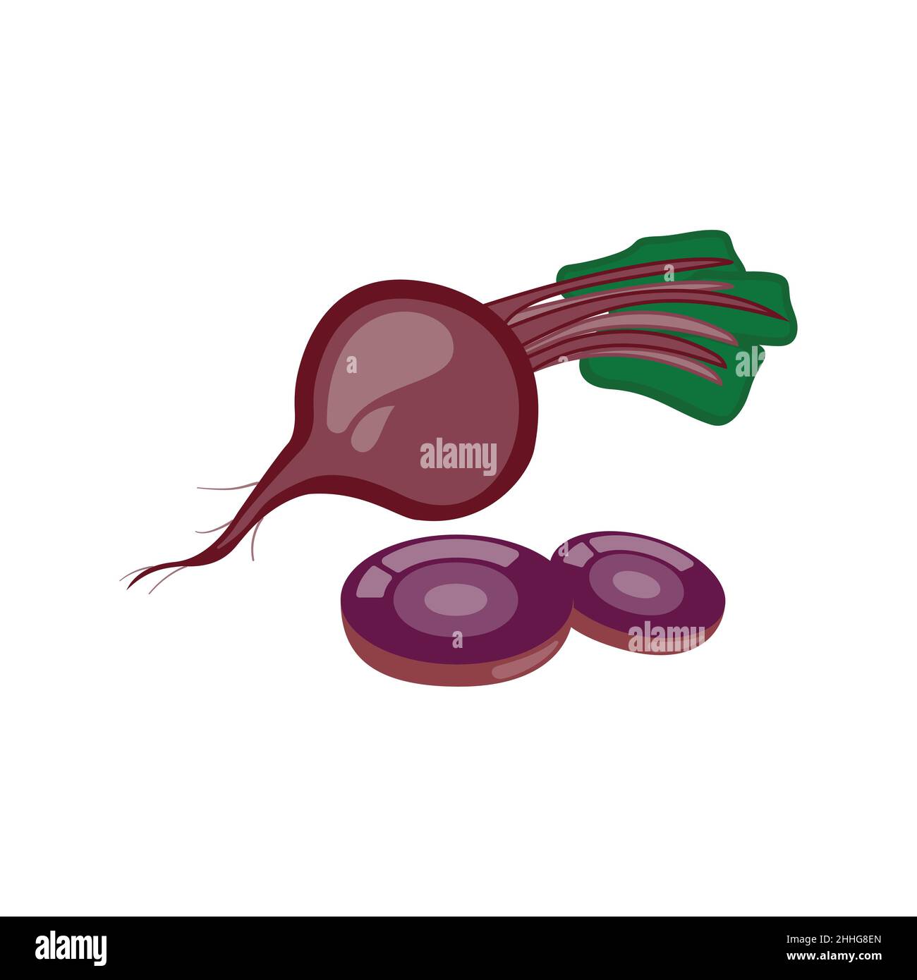 Isolated bits on a white background Half-leaved red beets, fresh. Vector illustration of vegetarian food Stock Vector