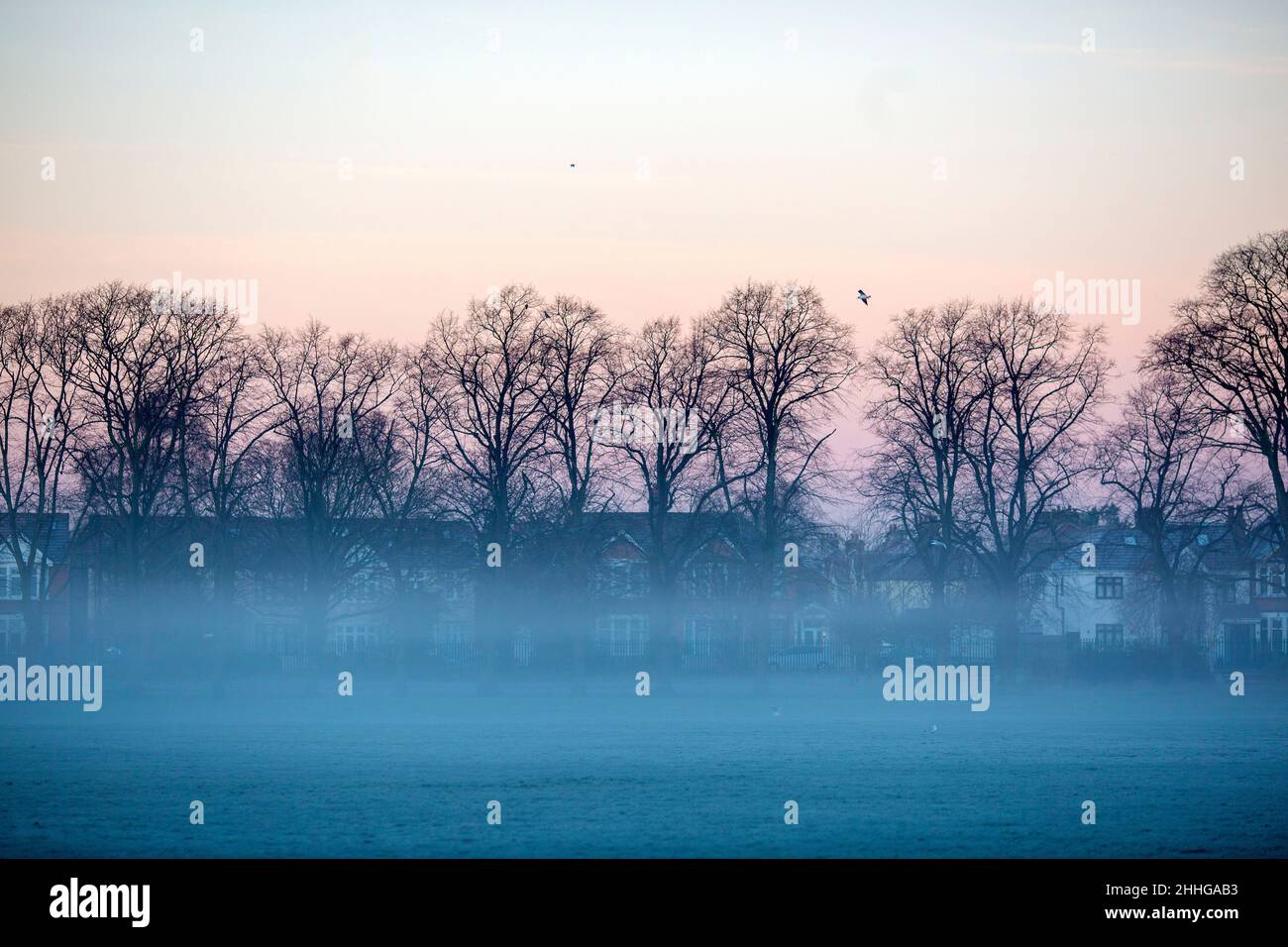 A mistcovered park in Ilford, East London, in the morning as the