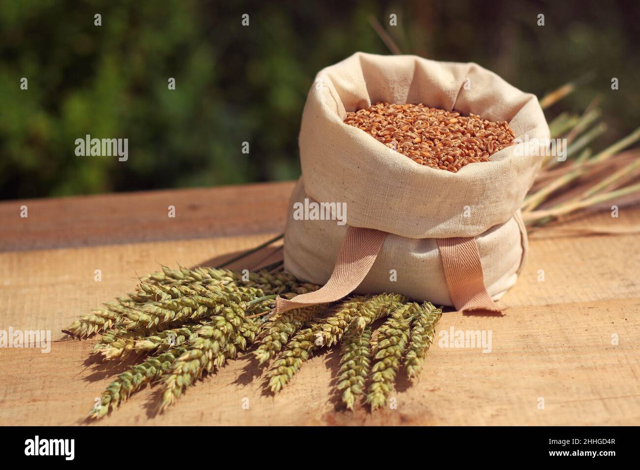 Wheat - bag with grains, ears of grain Stock Photo