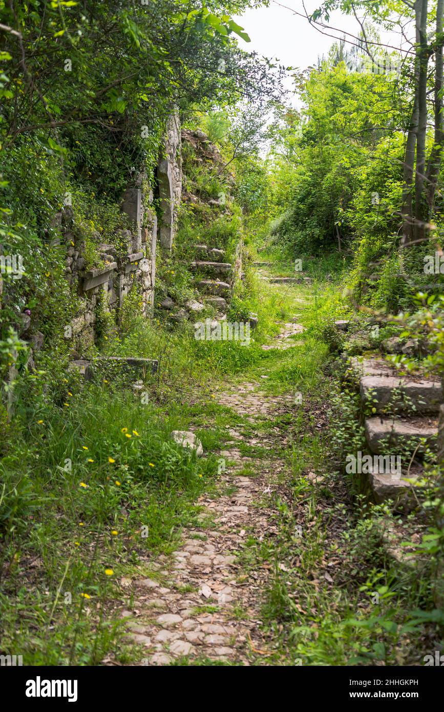 Ghost town of San Pietro Infine with his ruins, Caserta, Campania, Italy. The town was the site of The Battle of San Pietro in World War II Stock Photo