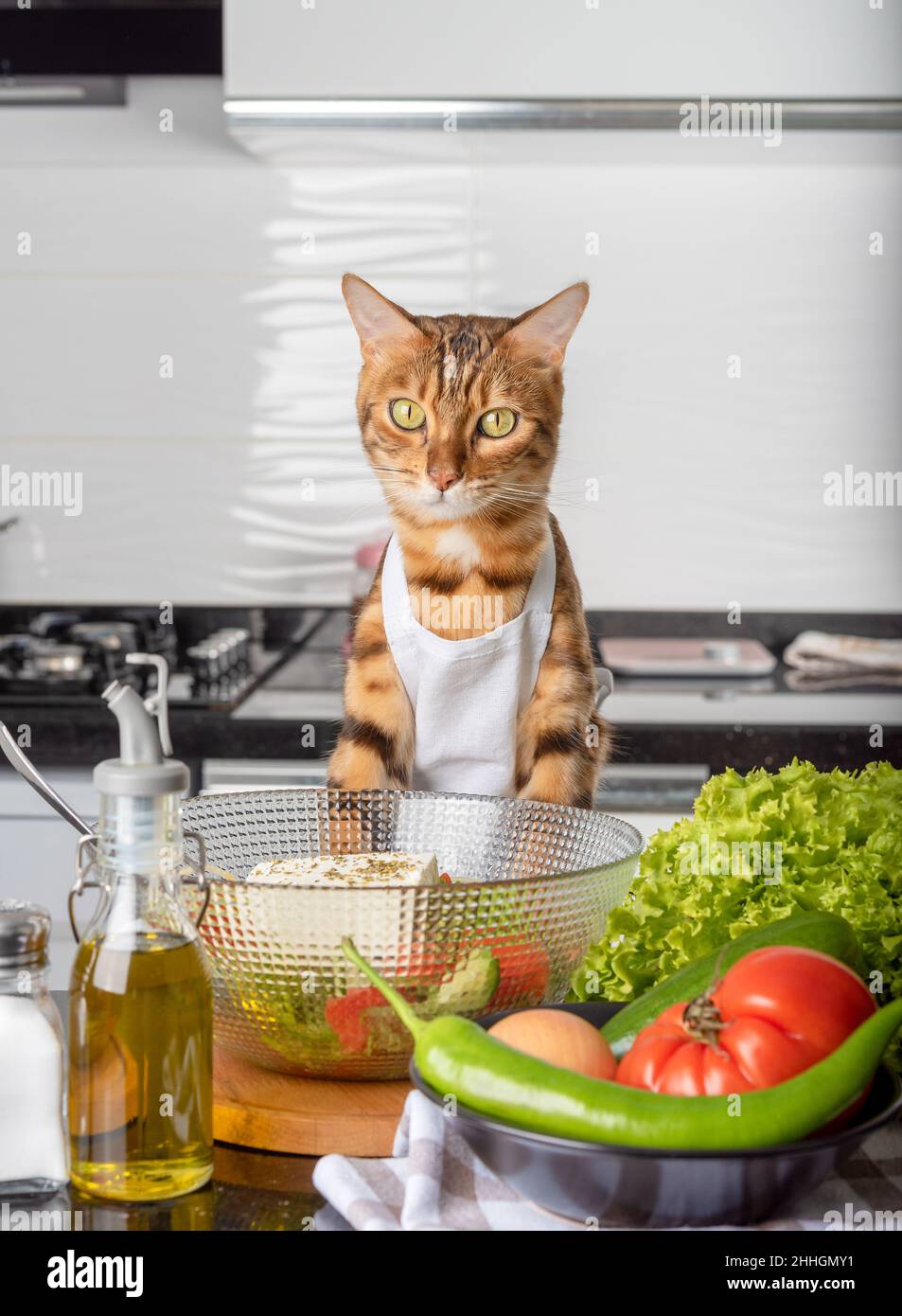 Bengal cat, Greek salad bowl, vegetables and olive oil. Vertical shot. Stock Photo