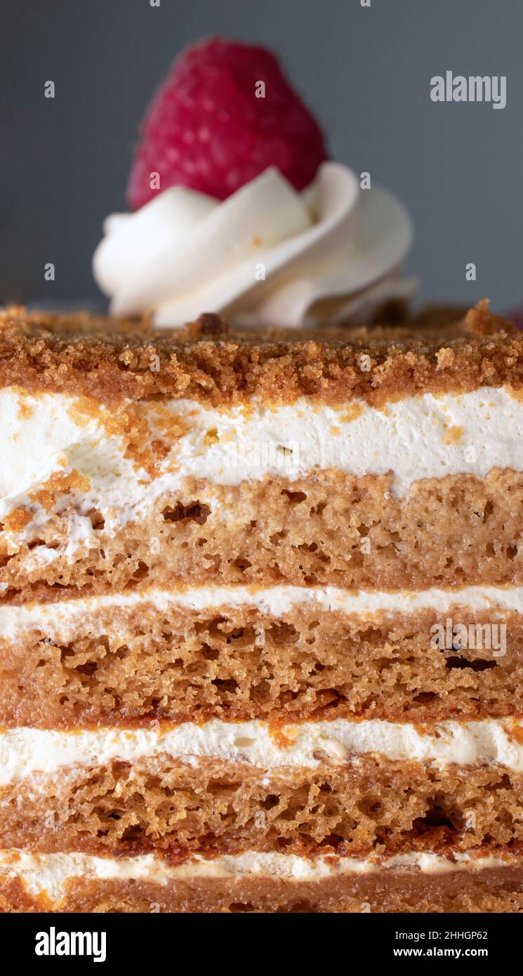 Delicious slice of layered sponge and cream cake, close up Stock Photo