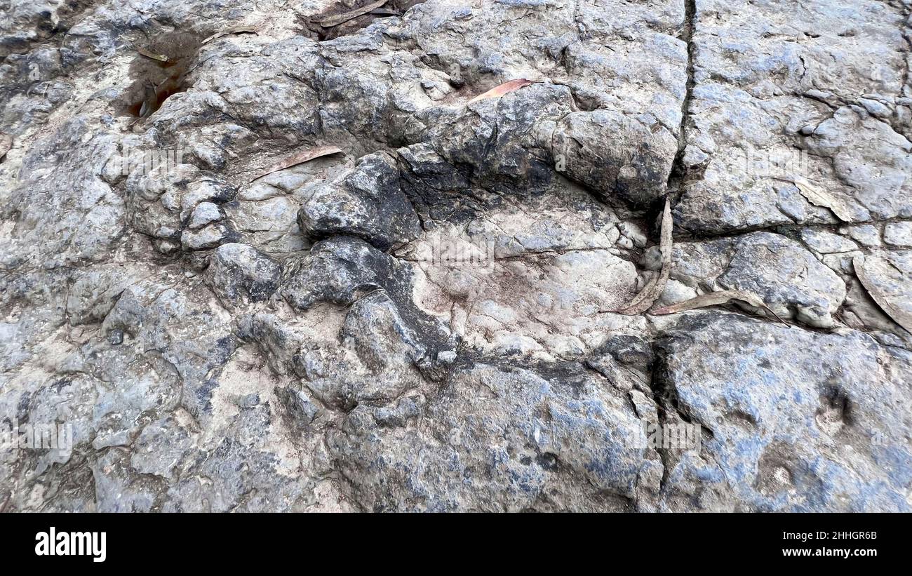Dinosaur footprints on the Griega beach in Colunga Stock Photo