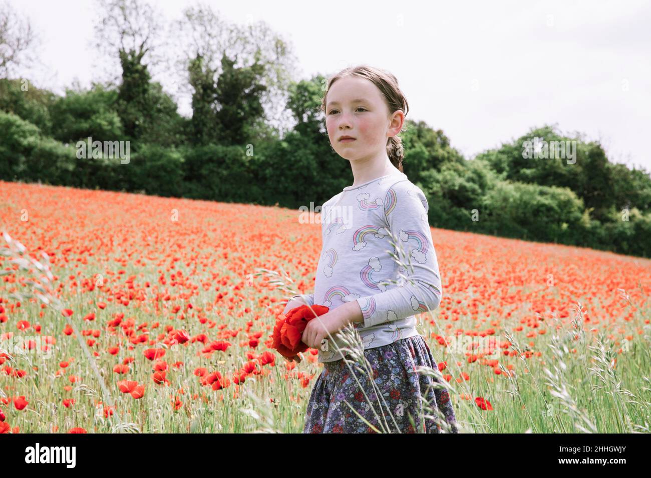 Girl in poppy field hi-res stock photography and images - Alamy