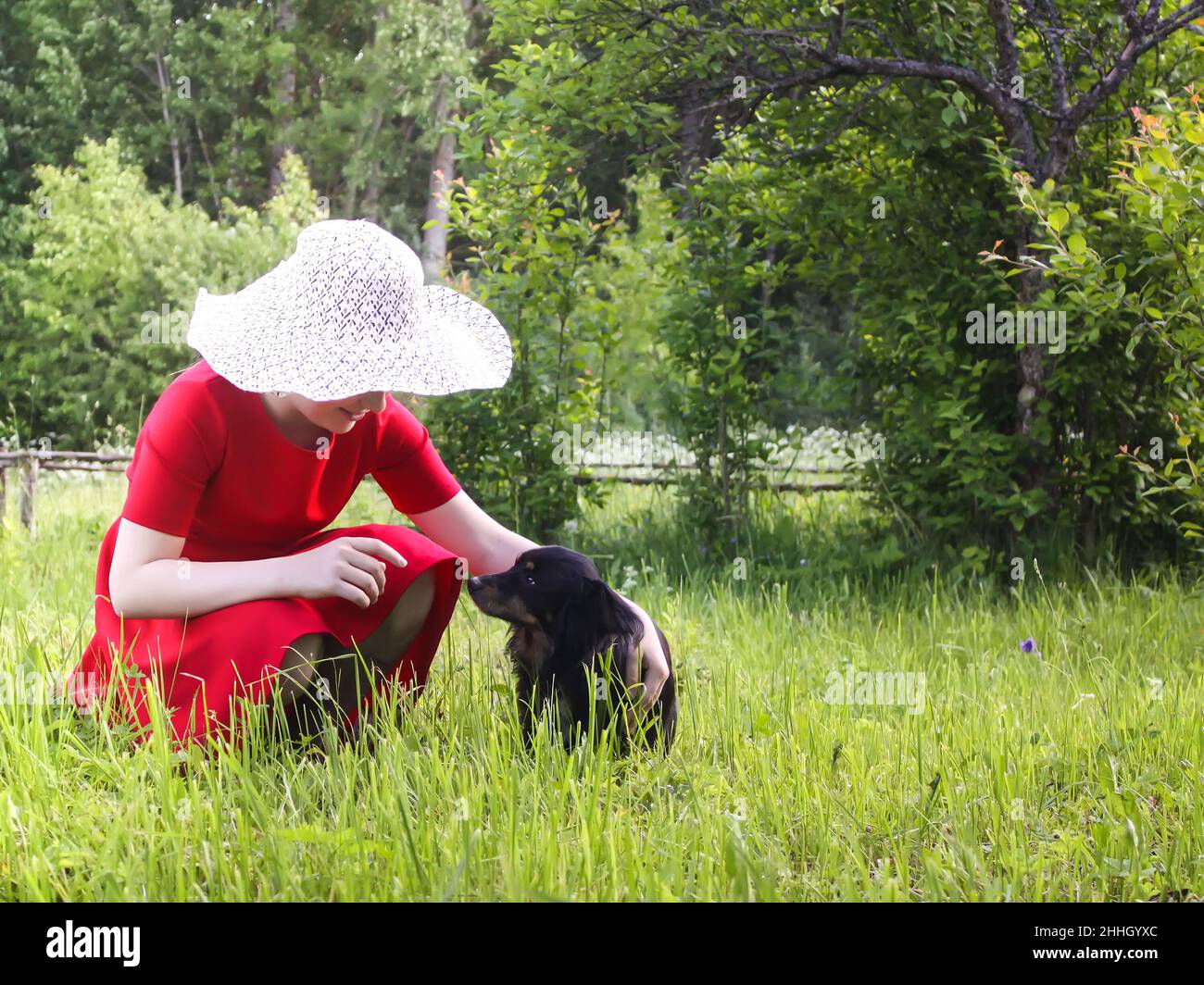 Adorable girl playing with small black dog in a summer garden Stock ...