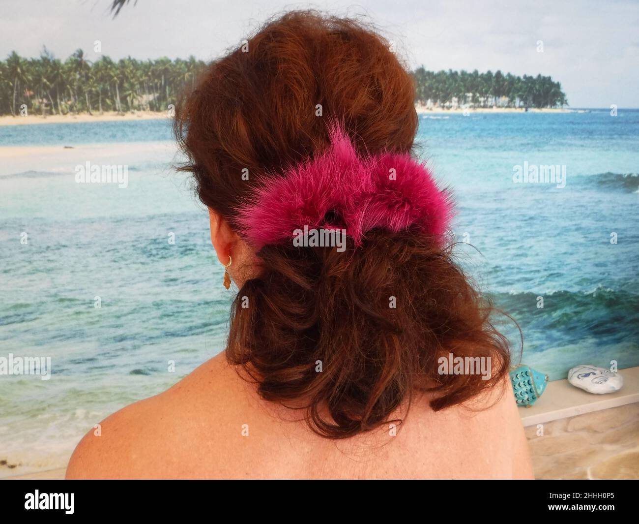 Frau von hinten am Strand, mit einem pinkfarbenen Schrunchie aus Fuchsfell im Haar * woman with a pink scrunchie overlooking a tropical lagoon Stock Photo