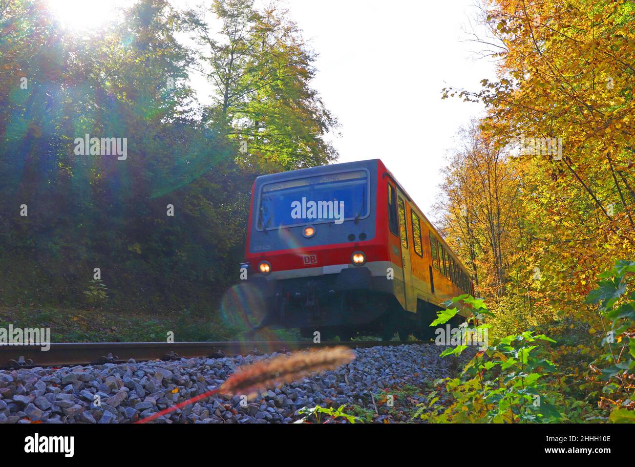 ein Triebwagen der Traun-Alz-Bahn fährt durch herbstlich gefärbten Wald * rail travel through autumn forest Stock Photo