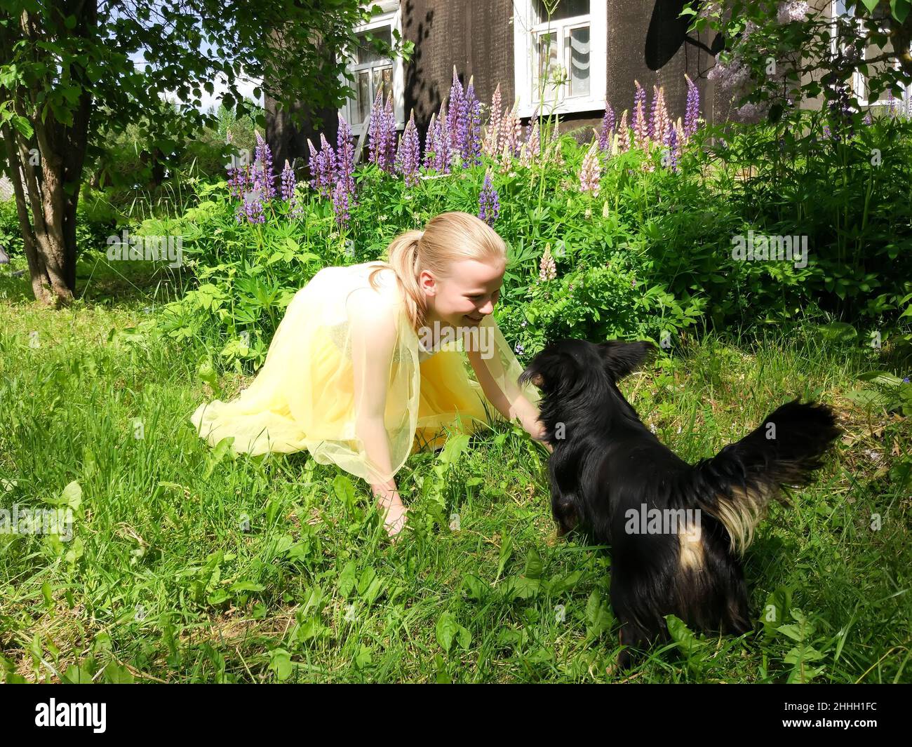 Adorable girl playing with small black dog in a summer garden in ...
