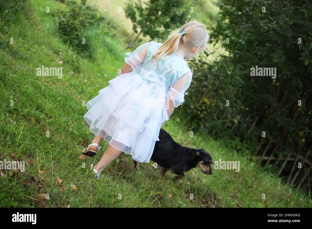 A little blonde girl with a dog in the summer garden Stock Photo - Alamy