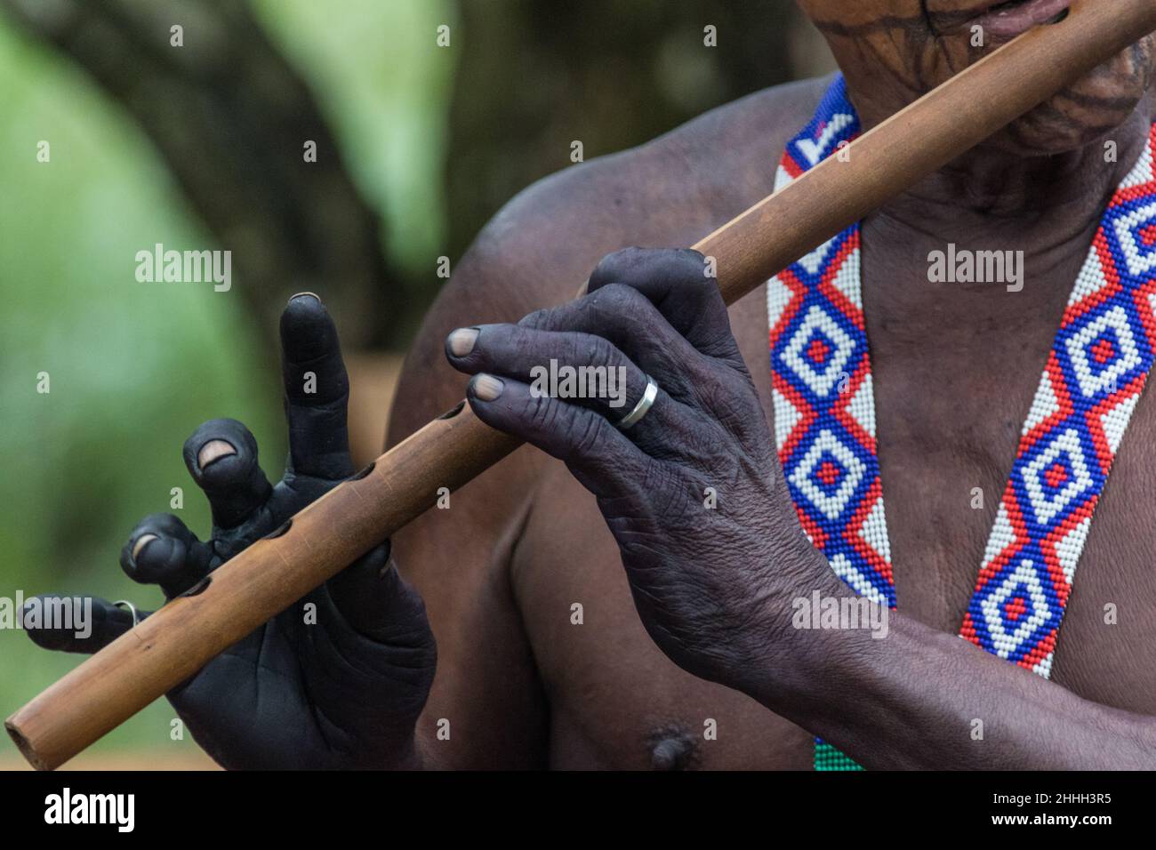 A member of the Embera tribe of Panama plays a flute Stock Photo
