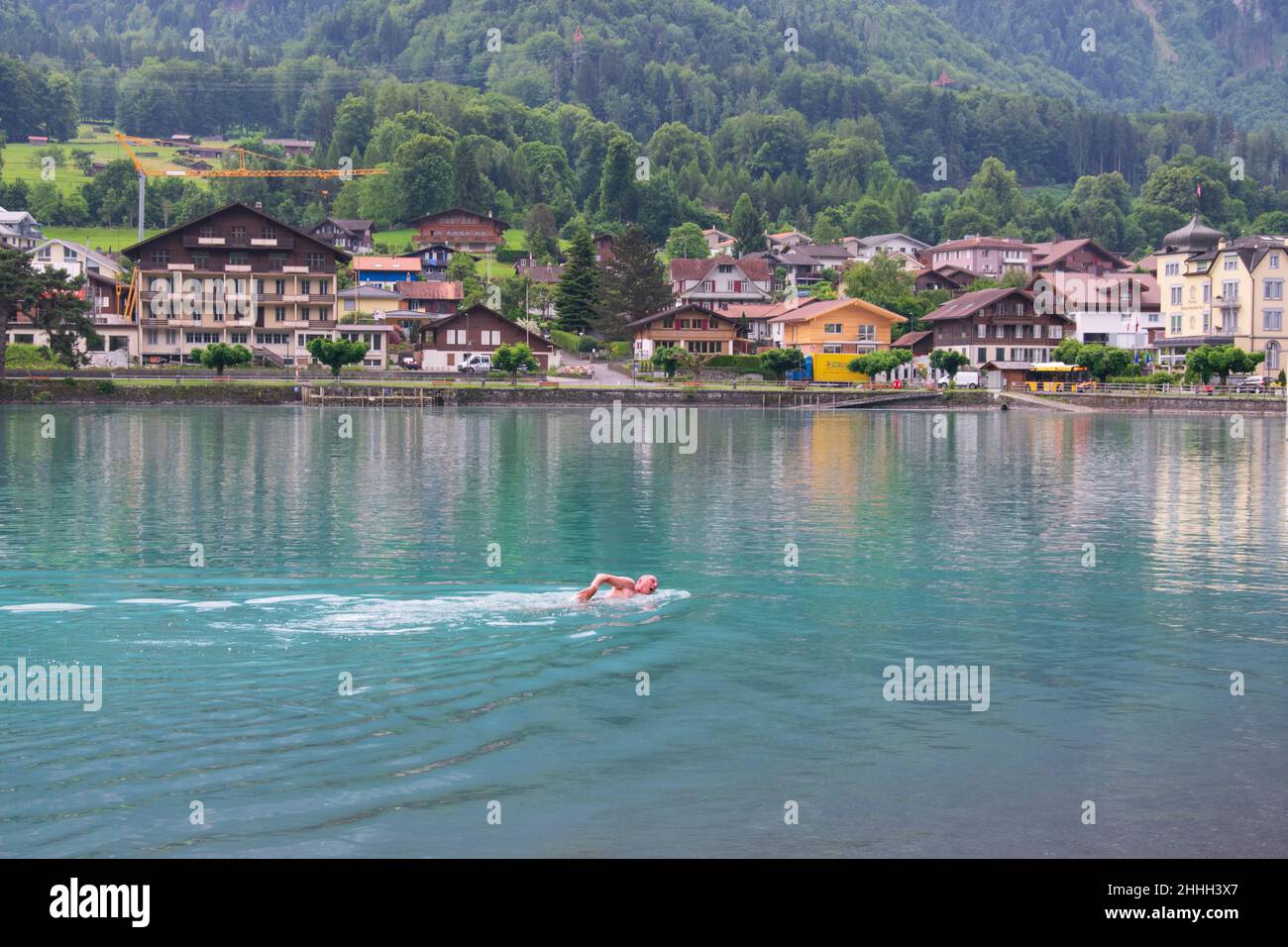 Old man swimming in Lake Brienz in Interlaken Stock Photo - Alamy