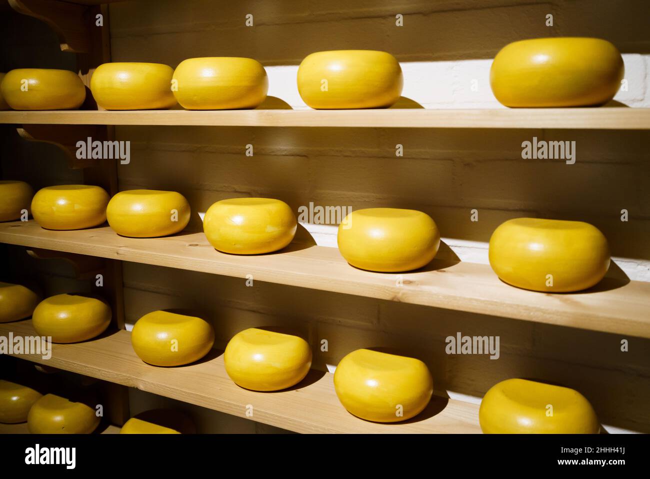 Cheese shop display. Farmer cheese. Cheese wheels in store Stock Photo