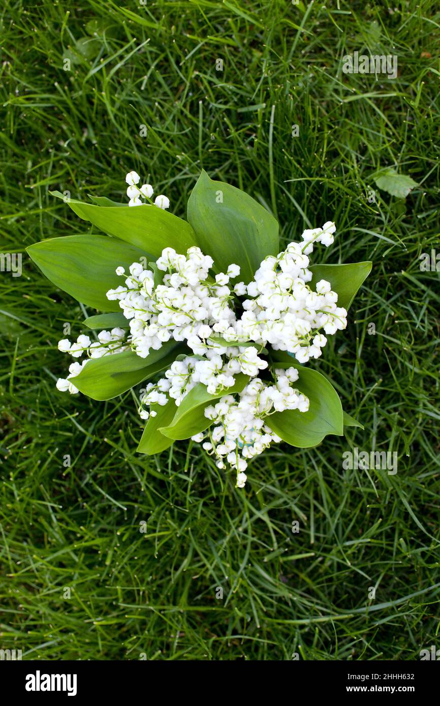 Lilly of the valley vase hi-res stock photography and images - Alamy