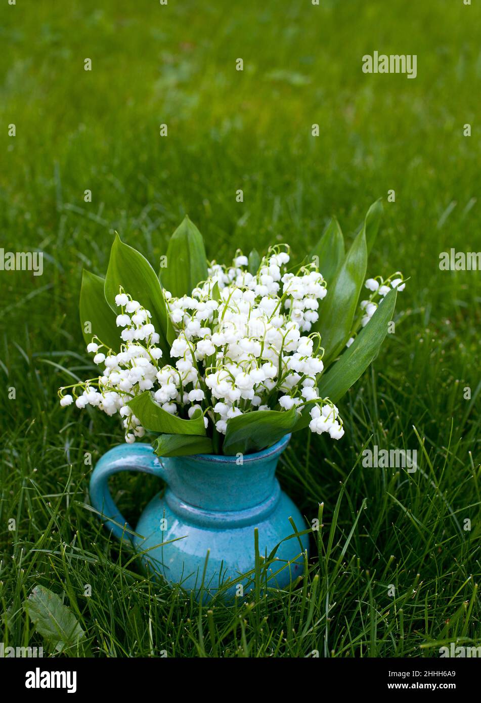Lilly of the valley vase hi-res stock photography and images - Alamy