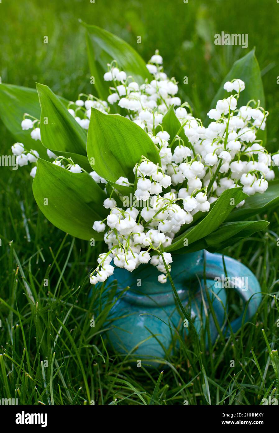 Lilly of the valley vase hi-res stock photography and images - Alamy